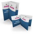 same-day-doppelparallelfalz-flyer-bedrucken - Warengruppen Icon