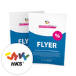 flyer-din-a5-hoch-mit-hks-farben-guenstig-drucken - Icon Warengruppe