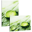fineartprint-foto-direktdruck-hinter-acrylglas-freie-groesse-bedrucken - Icon Warengruppe