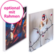 photo-leinwand-quadratisch-drucken-lassen - Warengruppen Icon