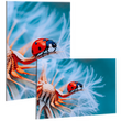 fineartprint-foto-abtzug-hinter-acrylglas-freie-groesse-bedrucken - Warengruppen Icon