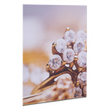 fineartprint-foto-direktdruck-auf-hartschaum-drucken-lassen - Warengruppen Icon