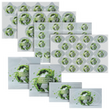 kompostierbare-aufkleber-drucken-lassen - Warengruppen Icon