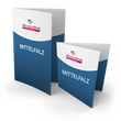 same-day-einbruchfalz-flyer-bedrucken - Warengruppen Icon