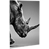 fineartprint-foto-direktdruck-alu-verbund-silber-bedrucken - Warengruppen Icon