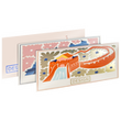 postkarten-290x140-quer-mit-kratzfester-mattfolie-bedrucken - Warengruppen Icon