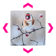 foto-leinwand-klassisch-guenstig-drucken - Warengruppen Icon