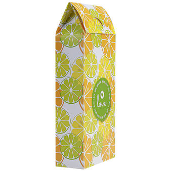 Dachverpackung mit Steckboden mit Längsnaht (9,8 x 4,5 x 18 cm plus Dach) einseitig bedruckt 4/0-farbig 