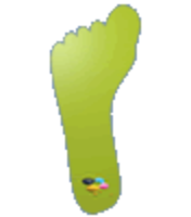 displaykarton-in-fussabdruckform-konturgefraest-beidseitig-44farbig-bedruckt