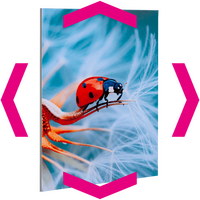 fine-art-print-in-fotoqualitaet-hinter-acrylglas-transparent-glaenzend-mit-freier-groesse-rechteckig-40farbig-bedruckt