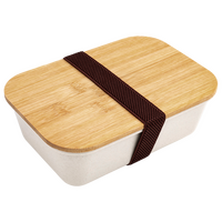 Kunststoff-Lunchbox unbedruckt