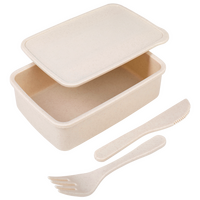 Kunststoff-Lunchbox unbedruckt