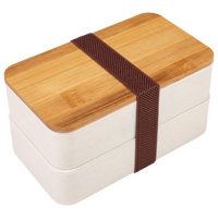 Kunststoff-Lunchbox unbedruckt