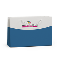 papiertragetaschen-mit-ppkordeln-34-x-24-x-10-cm