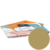 stuelpdeckelschachtel-din-lang-223-x-109-x-4-cm-einseitig-bedruckt-50farbig-cmyk-gold