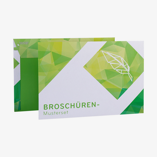 Neutrales Broschüren-Musterset, gefüllt mit Banderole, Zeitung und mehreren Broschüren