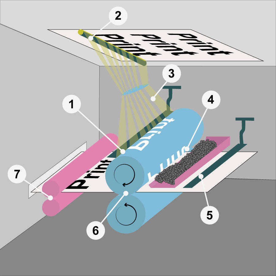 Bild, das die Funktionsweise der Xerografie in sieben Schritten erklärt – basierend auf dem Prinzip der Elektrofotografie