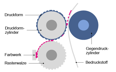 Schematische Darstellung der Vorgehensweise des Flexodrucks als Hochdruckart