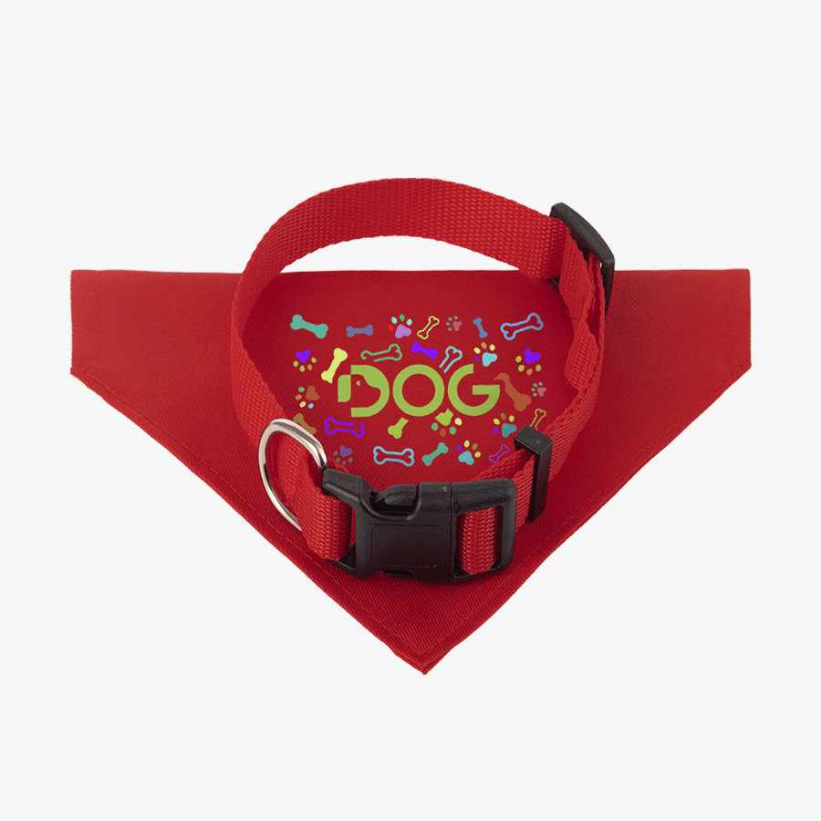 Hundehalsband mit einem bedruckten Hundehalstuch