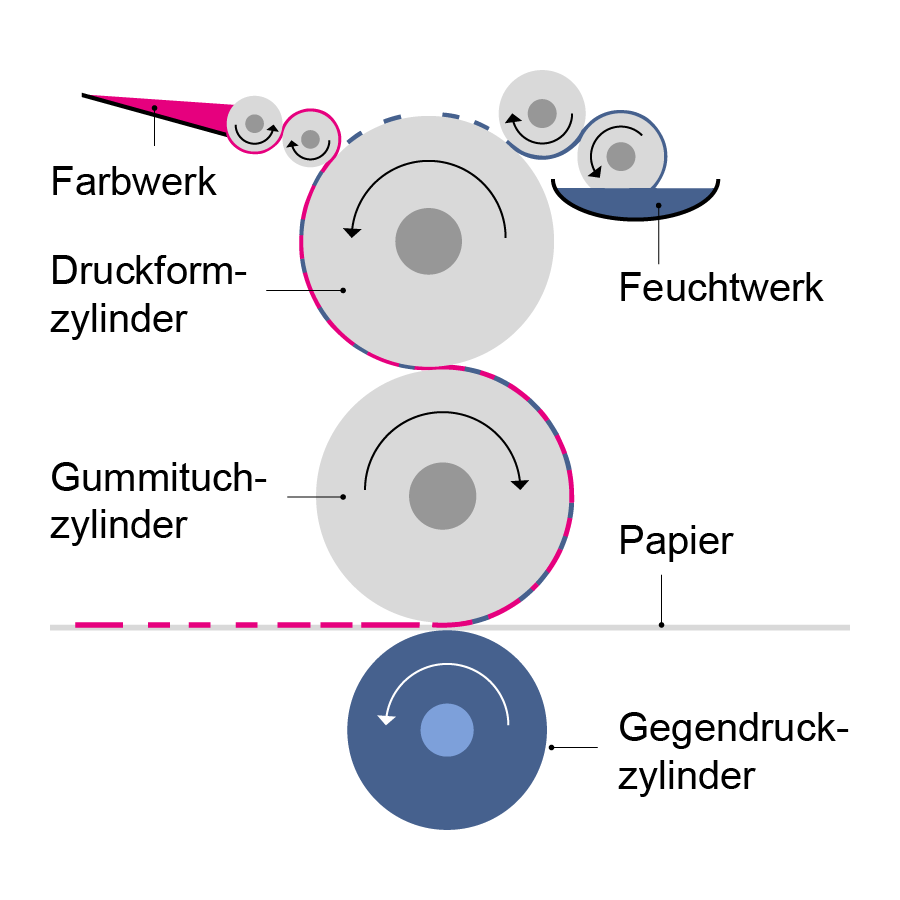 schematische Darstellung des Offsetdruckverfahrens mit Farbwerk, Druckformzylinder und Co