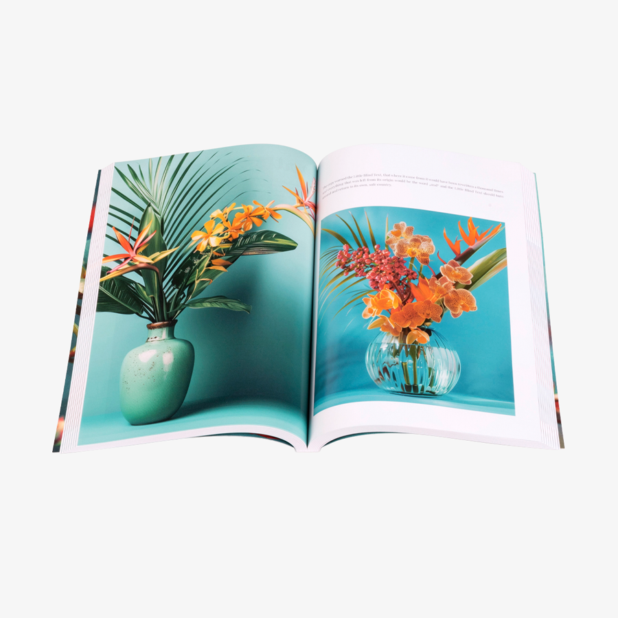Aufgeschlagenes Softcover-Buch (17 x 24 cm) mit farbig bedrucktem Inhalt