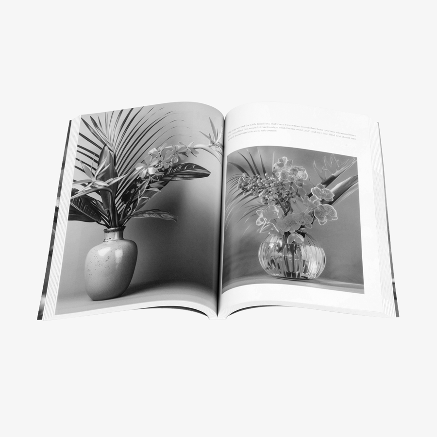 Aufgeschlagenes Softcover-Buch (17 x 24 cm) mit Inhalt in Schwarz-Weiss