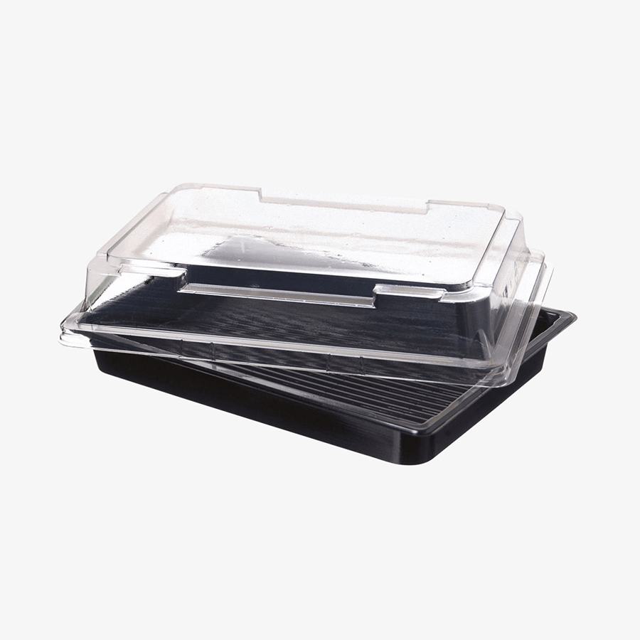 Sushibox schwarz mit transparentem Deckel, 21,5 x 13 x 5 cm, unbedruckt