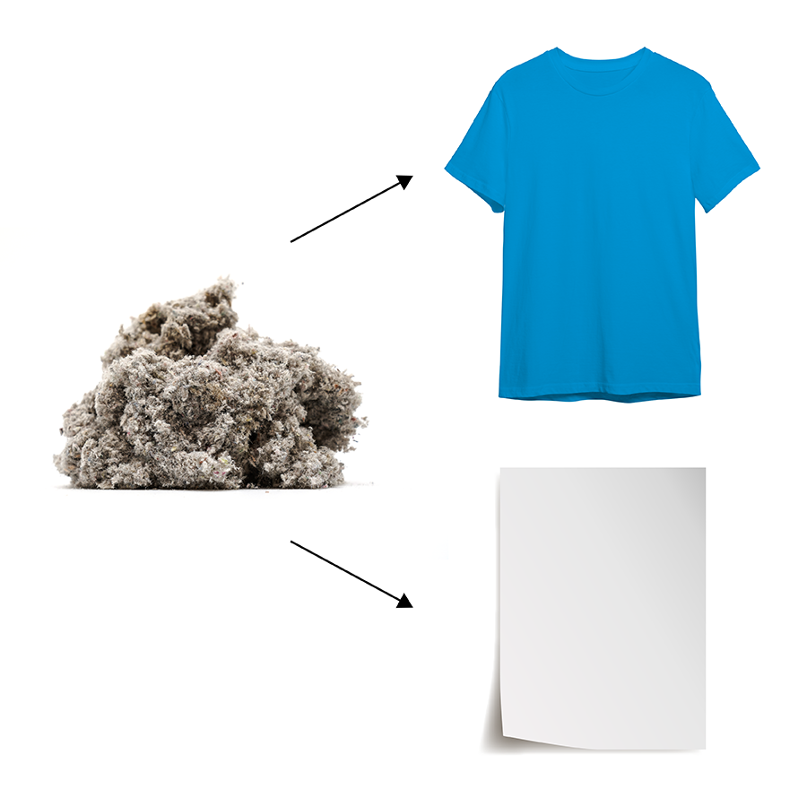 T-Shirt und Papier als aus Cellulose hergestellte Produktbeispiele