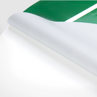 2D-Fahrzeugfolie (oval) bedruckt, mit Glanzlaminat