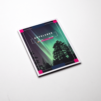 Aufkleber DIN A4, Ansicht des farbbrillanten Drucks, Druckbild Nordlichter und Siluhette eines Baumes