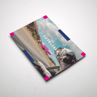 Aufkleber DIN A6 quer, Ansicht des farbbrillanten Drucks, Druckbild nach links schauender Hund der aus fahrendem Auto lehnt