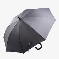 Sturmschirm mit gebogenem Kundstoffgriff, offen