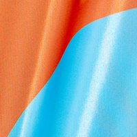 Beachflag, farbig bedruckt, details