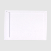 Briefumschlag DIN C5 (Lasche an der schmalen Seite), haftklebend mit Fenster, einseitig 4/0 farbig bedruckt, Rückseite