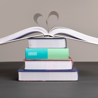 Buch Hardcover mit rundem Rücken 17,0 x 24,0 cm einfarbig Formate