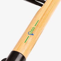 Eiskratzer, bedruckt, Stiel