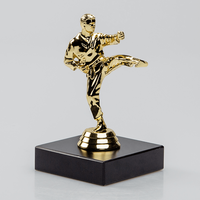 Figurenpokal Karate auf Sockelschild, Gold, stehen