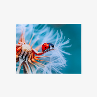 Fina Art, farbig bedruckt, Motiv