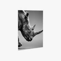 Foto, farbig bedruckt, Motiv