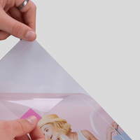 Hinterglasaufkleber, farbig bedruck