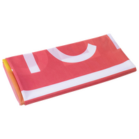 Hochwertig geschnittenene Longlife Hissfahne für Masten ohne Ausleger, 120 x 300 cm