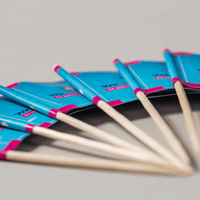 Holzpicker, farbig bedruckt, holz stiehl