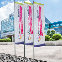 Fahne, farbig bedruckt, Motiv