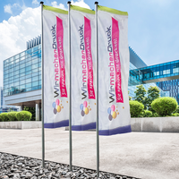 Fahne, farbig bedruckt, Motiv