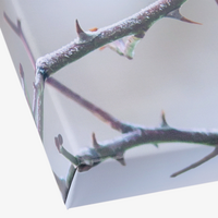 Hochwertige Leinwand 20 x 20 cm inkl. Holz-Keilrahmen 5 cm, fertig aufgespannt Details Rahmenkante