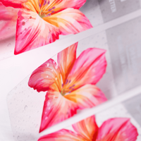 Etiketten, farbig bedruckt, details