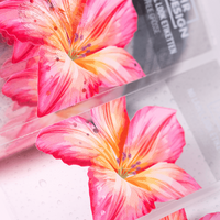 Etiketten, farbig bedruckt, details