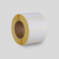 Hochwertige Thermotransferetiketten auf Rolle, im Format 100 x 50 mm