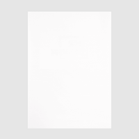 Hohlkammerplatte, weiß, Rueckseite