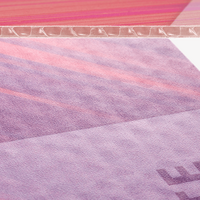 Hohlkammerplatte, farbig bedruckt, details